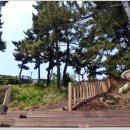 추암~증산해변 이미지