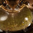 CORE PC CAFE 이미지