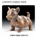 아잉독 애견카페 이미지