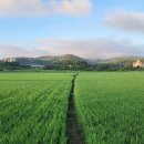 소라초등학교 이미지