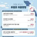 코코정비 이미지