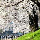 불당신도시 이미지