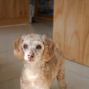 별난동물병원 이미지