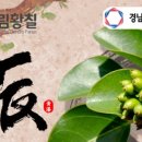 농업회사법인휴림황칠 (주) 이미지