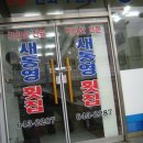 새통영횟집 Daum카페