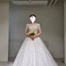 [브라이드로체] 본식드레스 재가봉 후기 _(본식가봉 일정, 재가봉 비용 등)_비즈반팔 vs 미카도실크