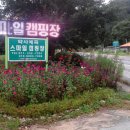 네비다라 이미지