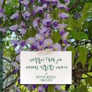 홍싸리 | [알아두면 쓸모있는 식물 이야기 #10] 대중놀이 「화투」에 새겨진 식물(꽃) 이야기