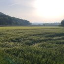 주식회사 산내들에스엠