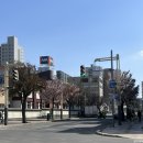 두대로 | 3박 4일 여행기 | 1일차 log | 에어로케이 후기 | 두대불전 (부처의 언덕) 대중교통 타고 가기 | 스프...