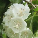 고운마음약국 이미지