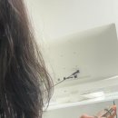 향헤어 이미지