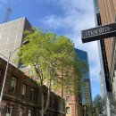 조이스포츠스크린 | [240916 호주 멜버른, Day 7] MAKER Lt Bourke｜강민경 유튜브 카페, 카페 투어3