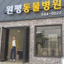 원평동물병원 이미지