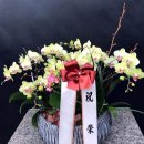 서안동농협장례식장 네이버블로그