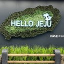 제주여행 첫 번째 이야기 ✈ (고객식당/우무푸딩/우진해장국/한림공원/감성숙소/영신상회)