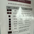 오달행 | 오키나와 오달렌트카 후기