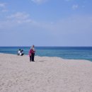 연곡해변 솔향기캠핑장 이미지