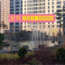 Y공인중개사사무소 이미지