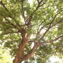 햇살가득한약국 이미지