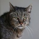 계산메디칼센타 이미지