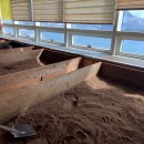 자갈치효소편백원 이미지