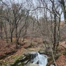 산림생태문화체험단지 | 백두대간 산림생태문화체험단지 숲속의 집