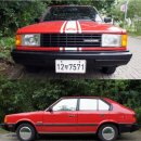 포니카센타 이미지