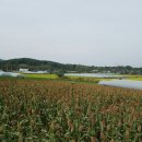 보물단지 이미지