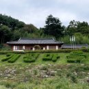 해바라기민박 | 경남 함양 가을 가볼만한곳 개평한옥마을 꽃구경