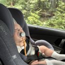 유나목장 | 11개월 아기와 부모님과 제주시 가기 좋은 곳 : 에코랜드 테마파크 방문후기!