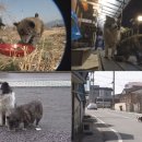 봉식농장 이미지