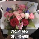 어반블루메 이미지