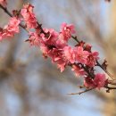 신답역(2) 이미지