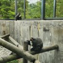 전주동물원 이미지