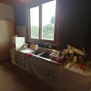 한라산게스트하우스 이미지