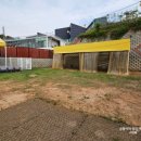 그루비독 이미지