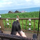 안면도 풀하우스 펜션 | 포항 구룡포 풀하우스 2박3일 후기(꼭 가십쇼)