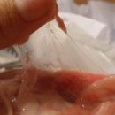 시퀀스무브먼트 네이버블로그