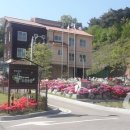 초록꿈틀마을 이미지