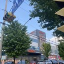 36식자재 | 드디어 남양주 화도읍 마석에 쿠우쿠우가 생겼어요(쿠우쿠우 마석점)-내도내산후기 오픈 일주일