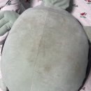 몰리스펫샵 풍산점 이미지