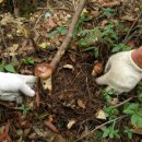 동암농장 이미지