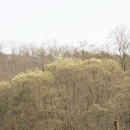 월평7호 이미지