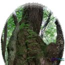 창암농장 이미지