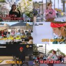 밥장사 JTBC