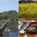 오조1농로 | 제주도 오조포구 주차tip 제주 유채꽃 풍경, 근처 순살갈치조림 맛집