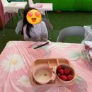 기수농장 | [논산] 아이와 함께 다녀온 딸기체험 논산 또로롱딸기 후기