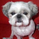 단비 이미지
