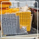 무림종합건설(주) | [설치 후기] 배수로 낙상·미끄럼 사고 완벽 예방! 대건녹화건설(주) 그레이팅 안전덮개 실제 시공 현장...